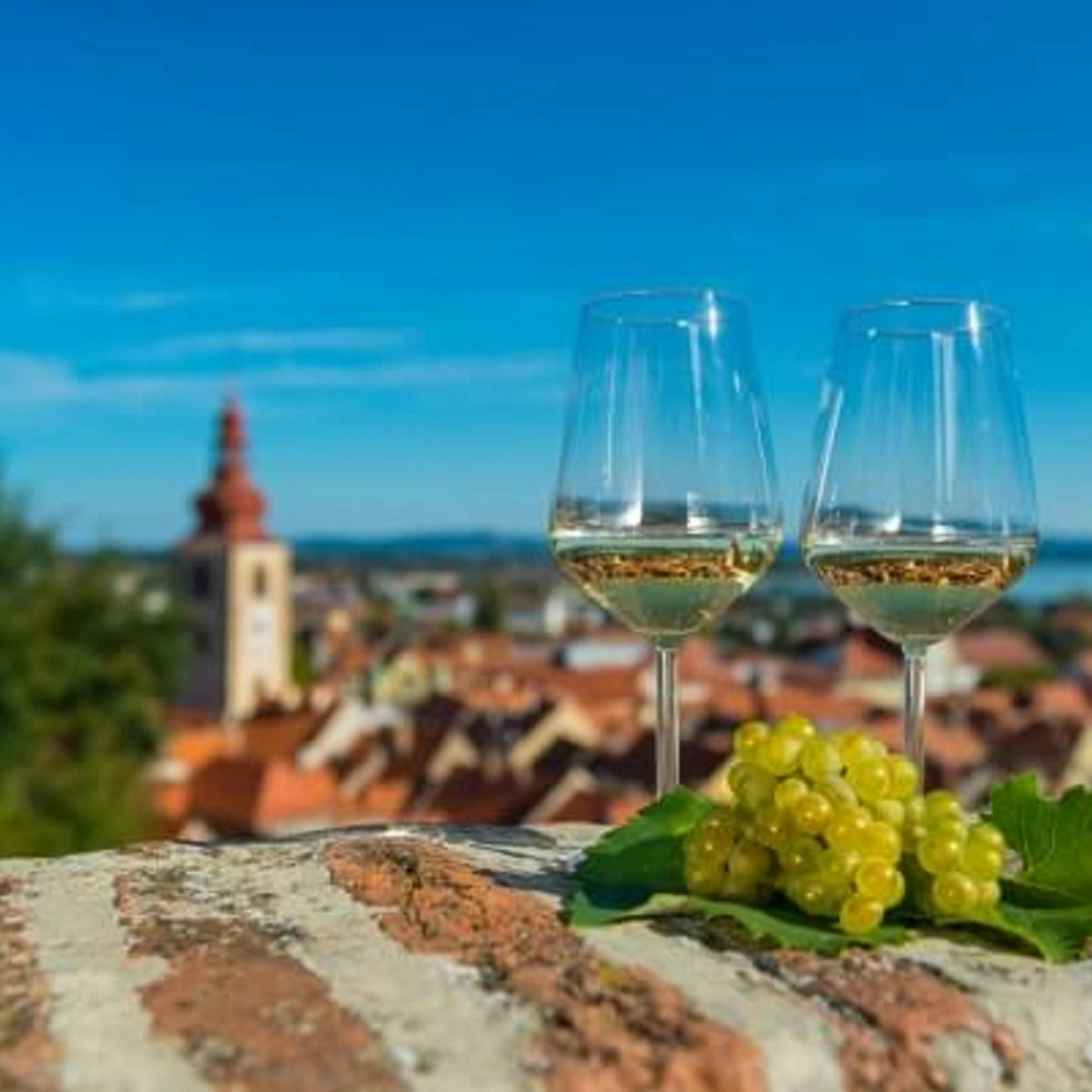 Ptuj - vino in kulinarika